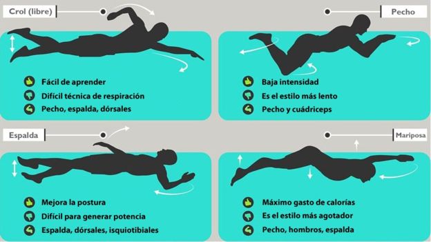 Natación Ejercicios En El Agua Para Reducir Abdomen Cómo Nadar