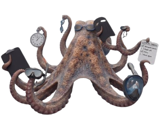 Octo-Turbo IA